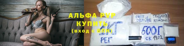 дживик Новозыбков