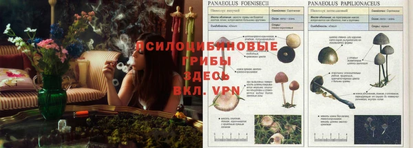 экстази Абинск